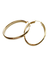 Load image into Gallery viewer, Diana Oblong Hoop Earrings
