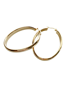 Diana Oblong Hoop Earrings